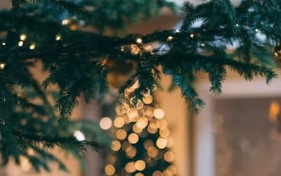 Celebrate Christmas in Malvern