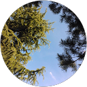 Andrew Collinge profile picture